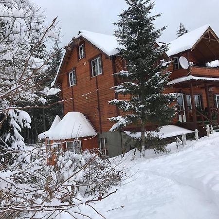 Cottage 12 Months 沃罗赫塔 外观 照片